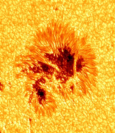 Sunspot Photo Shows Solar Phenomena In Never-Before-Seen Detail (PICTURES) | The Huffington Post