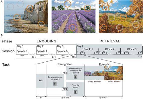 Episodic-memory task design. (A) The three spatio-contextual... | Download Scientific Diagram