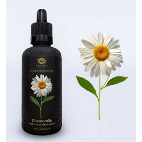 Chamomile Infused Oil 50ml