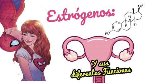 ESTRÓGENOS y sus FUNCIONES by Oliver - YouTube