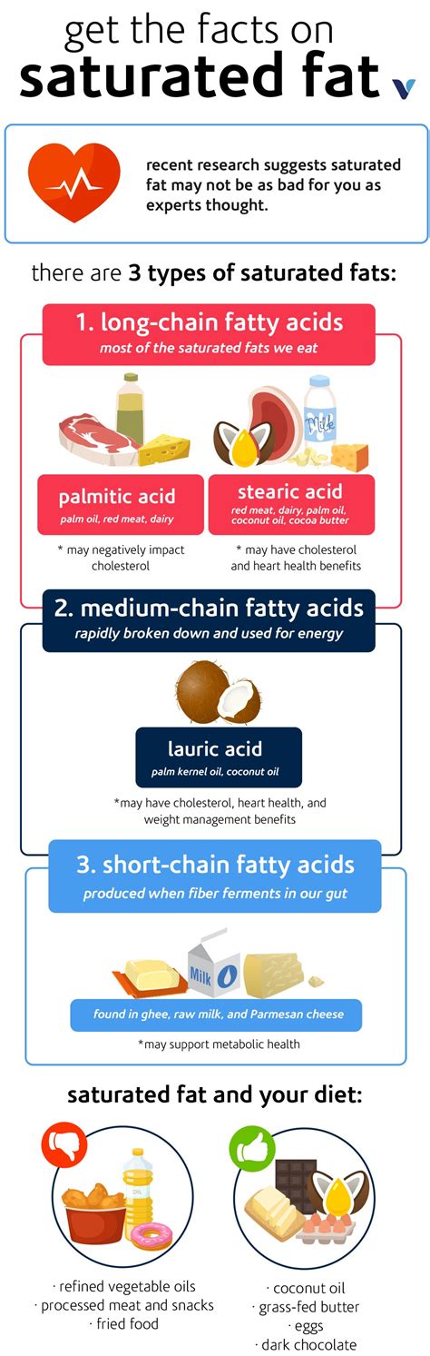 Saturated Fat Infographic