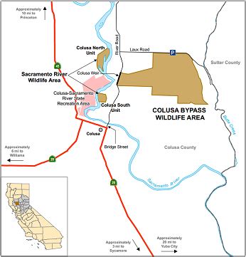 Colusa Bypass Wildlife Area