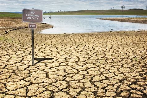 California Declares Drought Emergency - SYNLawn