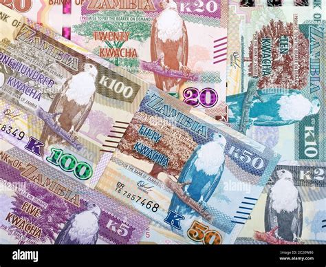 Zambian Kwacha a background Stock Photo - Alamy