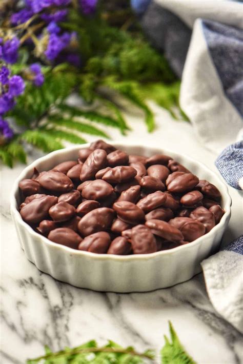 Chocolate Covered Almonds: Step by Step Recipe - She Loves Biscotti