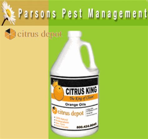 Orange Oil Termite Control | Citrus King Orange Oil | Orange Oil for Termites | Orange Oil ...