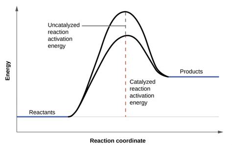 The Presence of a Catalyst | Chemical Kinetics