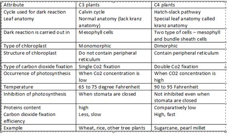 Difference Between C3 And C4 Plants Definition,, 52% OFF