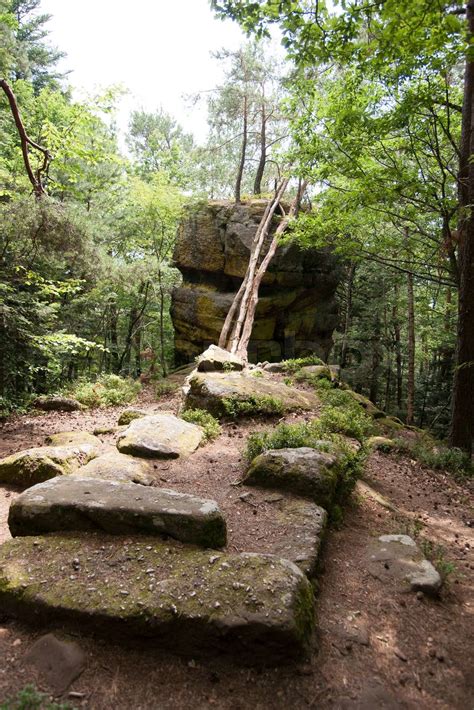 Hiking in Alsace | Stock image | Colourbox