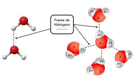 Puentes Hidrógeno Agua - Imagen gratis en Pixabay - Pixabay