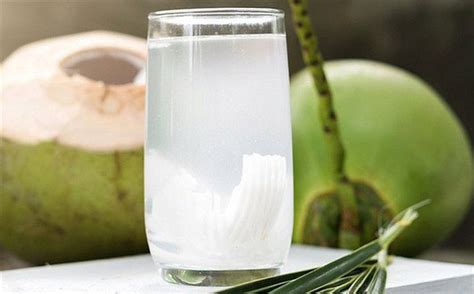 Does drinking coconut water lose weight? | Vinmec