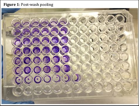 Figure 1 from Developing a Crystal Violet Assay to Quantify Biofilm Production Capabilities of ...