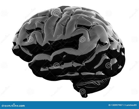 Black Glossy Brain on White Background. 3D Illustration Stock ...