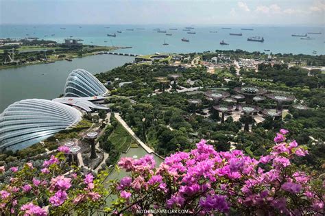 8 Gardens by the Bay Tips You Need to Know BEFORE Visiting