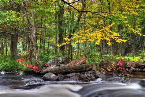 Magnetawan River,Ontario,Canada | The Magnetawan River is a … | Flickr