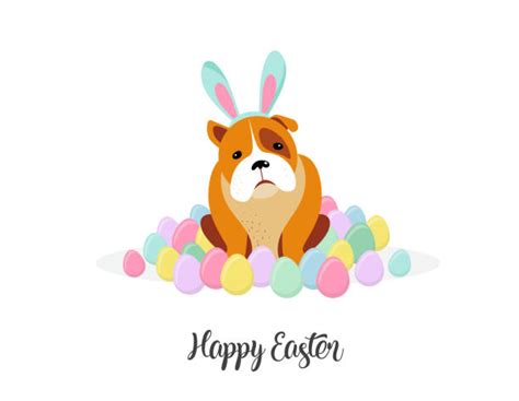 180+ Dog Easter Egg Stock Illustrations, Royalty-Free Vector Graphics & Clip Art - iStock