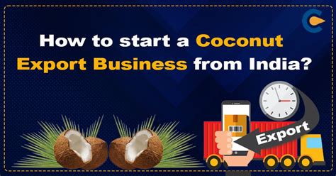 How to start a Coconut Export Business from India? - Corpbiz