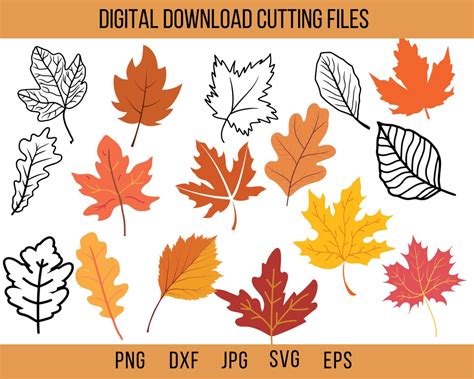 Fall Leaves Svg Leaves Svg Hello Fall Svg Fall Svg Files - Etsy