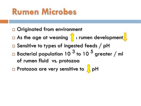 PPT - Rumen microbes PowerPoint Presentation, free download - ID:2316244