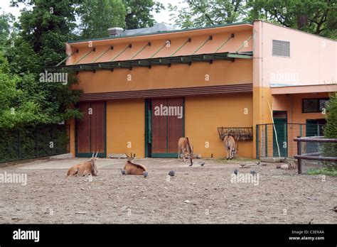 Animals in Zagreb ZOO park, Maksimir, Zagreb, Croatia Stock Photo - Alamy