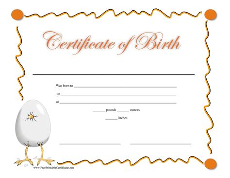 15 Birth Certificate Templates (Word & PDF) ᐅ TemplateLab