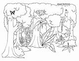 Free Rainforest Coloring Pages At GetColoringscom  Printable sketch template
