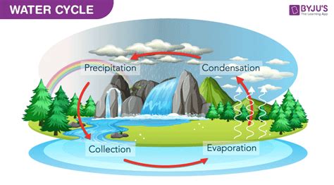 The Water Cycle - Process and Importance of Hydrologic Cycle