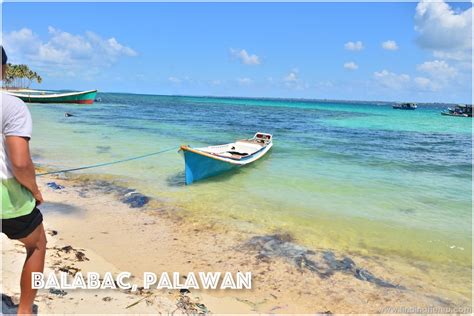 Balabac, Palawan 2 - Finding Henru