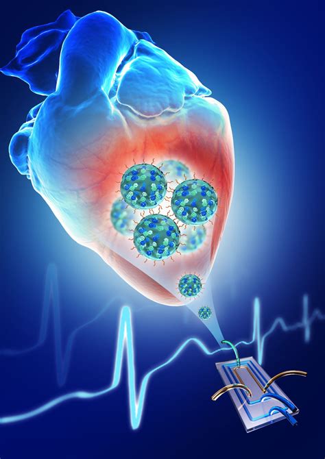 Cell and Tissue Engineering | Song Li Lab