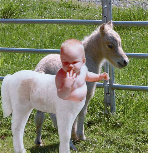 Centaur Baby | . . . and she dreamed of being a wild pony, r… | Flickr