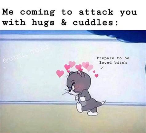 Cuddle Memes For Him - memestund