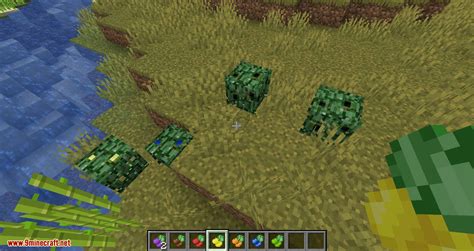 Berry Bushes Mod 1.15.2, 1.14.4 (Randomly Spawn Berry Bushes with ...