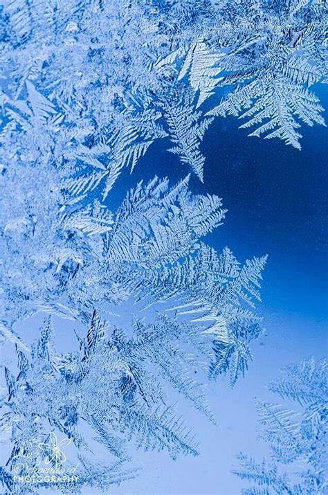 Winter frost | Winter wallpaper, Winter background, Weather art