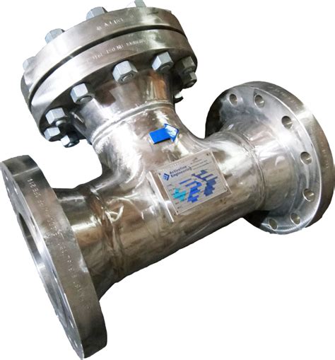 T Type strainer manufacturers,t strainer manufacturers in Ahmedabad India