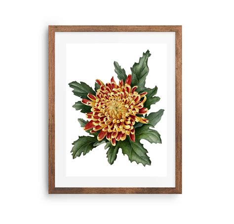 Chrysanthemum Paper Print – Kristine Art Heavenly Paintings