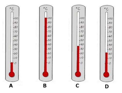 Celsius Thermometer Reading Exercise — Homeschool Science for Kids