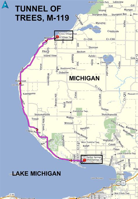 Classic Roads: Tunnel Of Trees Road (Aka M119)