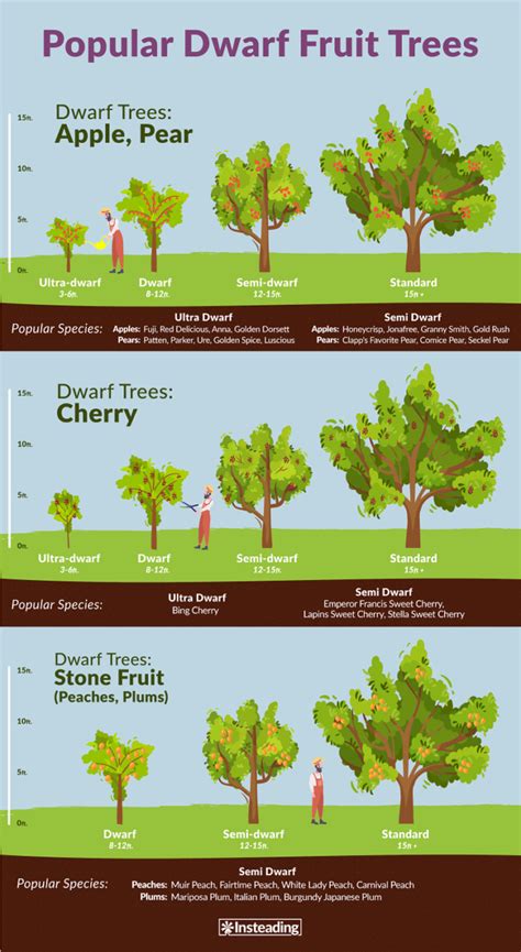 Dwarf Fruit Trees • Insteading