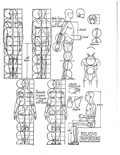 If you really want to learn how to draw the human body, draw from ...