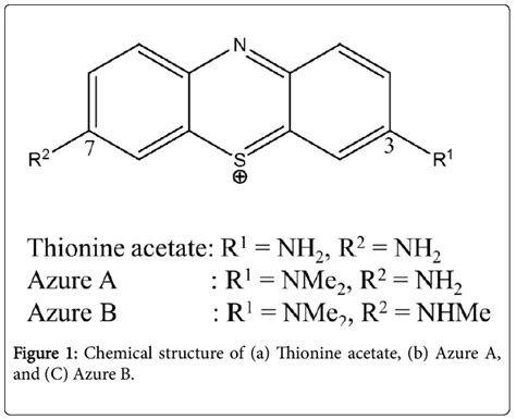 Spectroscopic Studies of the Binding Interactions of Phenothiazin