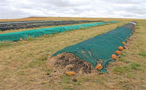 Large-scale composting turns waste into healthy soil