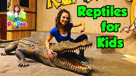 Reptiles for Kids | Educational Videos – HousePetsCare.com