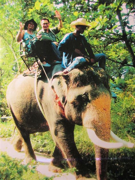 manuelimson: Elephant Ride in Thailand