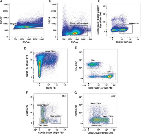 Flow Cytometry T Cell Gating | Hot Sex Picture