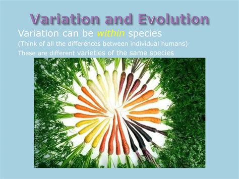 PPT - Variation and Evolution PowerPoint Presentation, free download ...