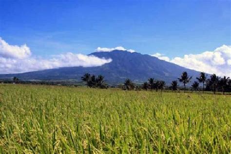 Mt. Isarog - Camarines Sur | Philippine Evolution