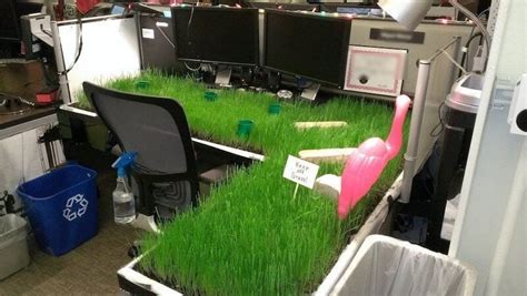 21 Hilarious Office Pranks That (Hopefully) Won't Get You Fired