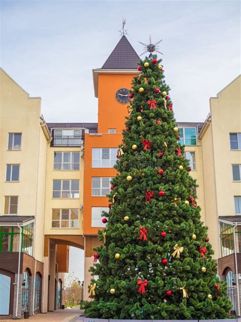 Christmas Tree on the Town Square is Decorated for Christmas Holidays ...