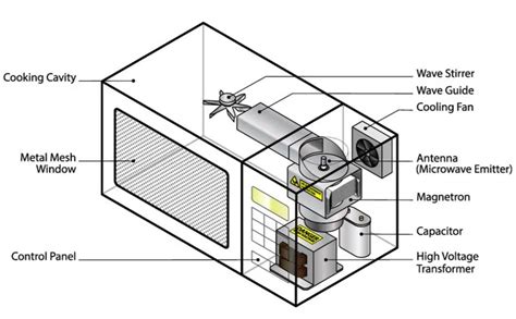 10 Parts of a Microwave You Should Know About