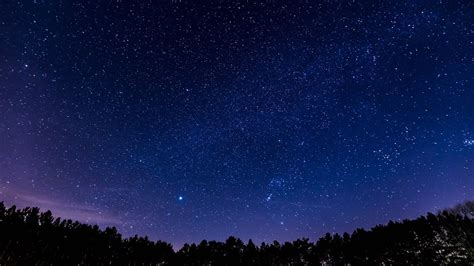 🔥 Free Download Panoramic Night Sky Stars Forest Wallpaper Stream by @coreyw64 | WallpaperSafari